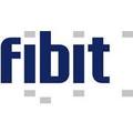 fibit.business